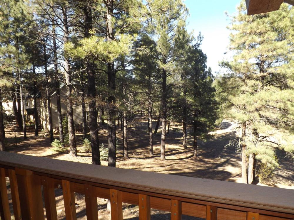 Cabin 16 interior